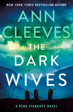 The Dark Wives book cover image