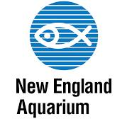 New England Aquarium